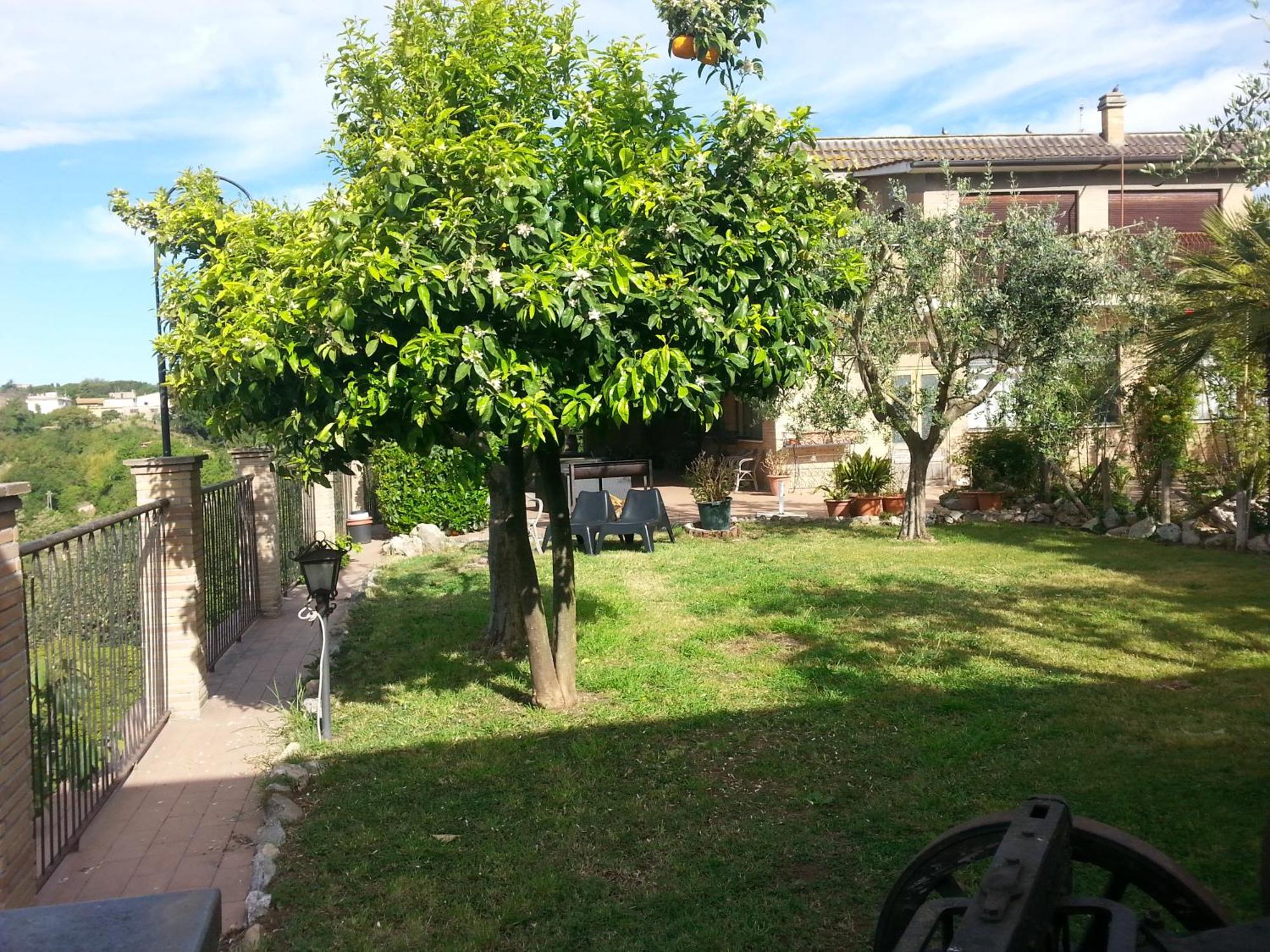 Hotel Tempio Di Apollo — Photos 3